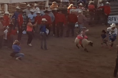 1-carbondale_rodeo_mouton.jpg